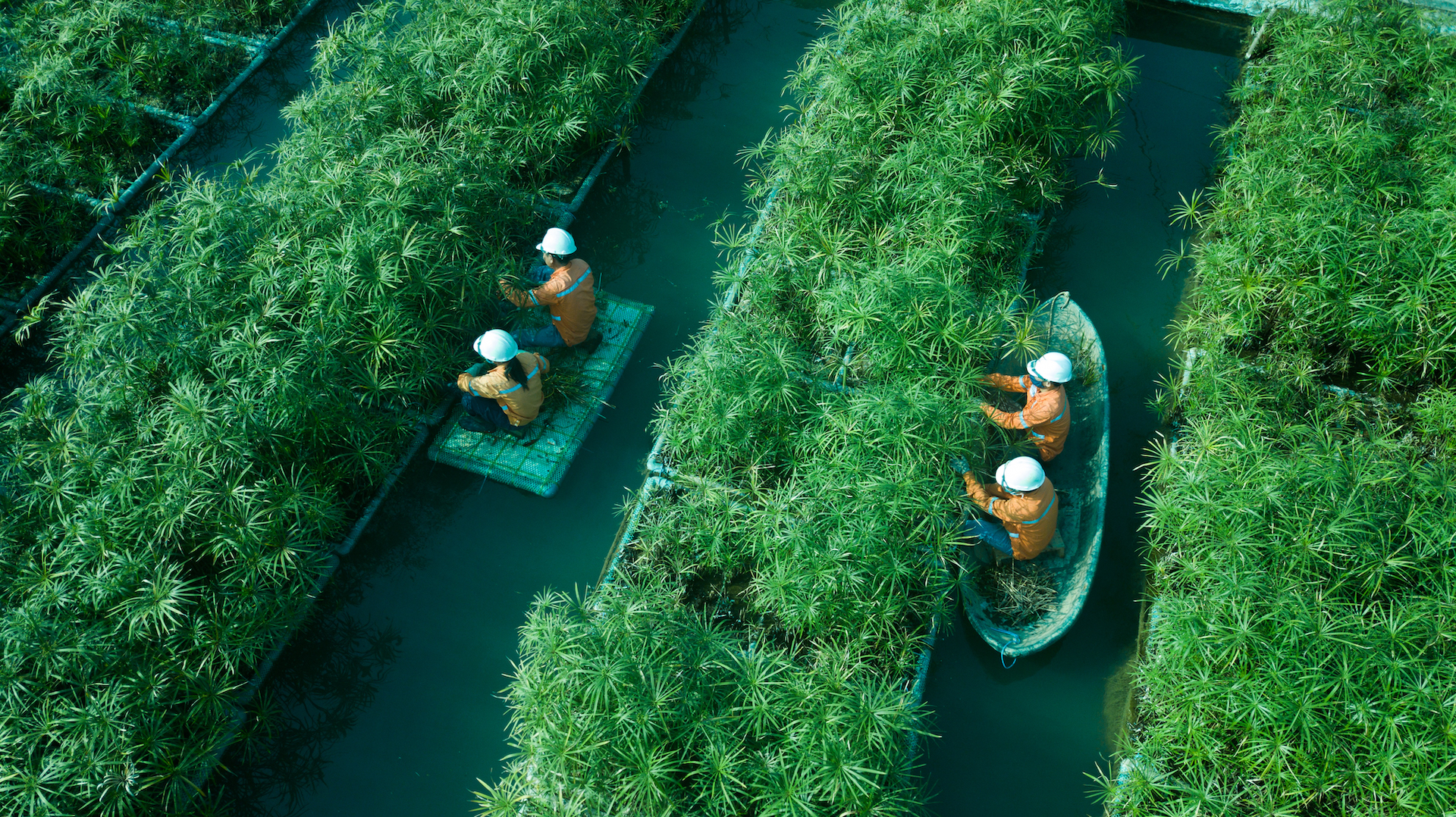 Tái cấu trúc danh mục đầu tư, Masan mang về 134,5 triệu USD
